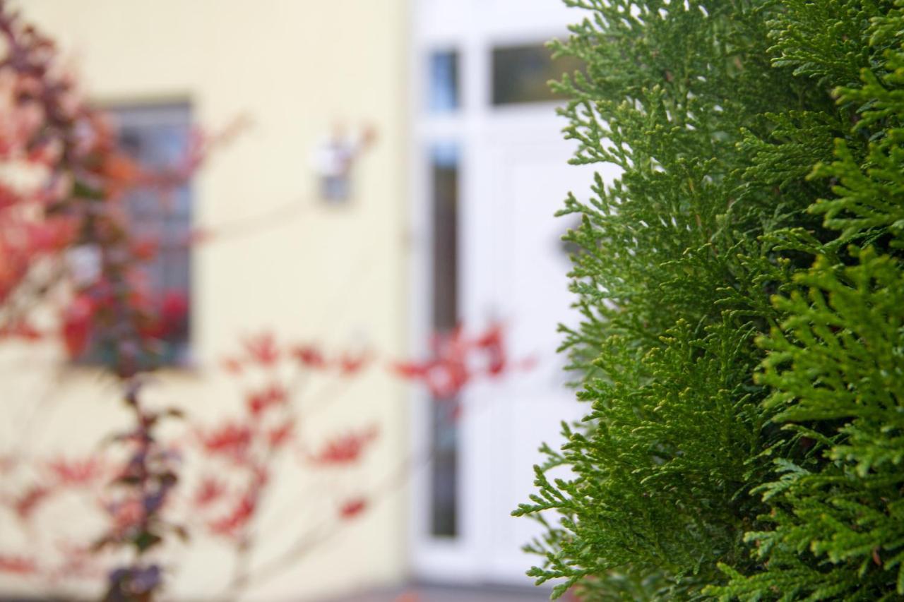 Ferienhaus Bogsi Mullrose Ngoại thất bức ảnh
